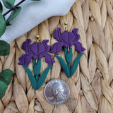 Irises (Multiple Colors Available)