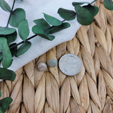 Sea Breeze Mini Stud