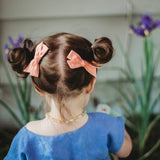 5 for $25 Blind Grab Bag of Small Evy Bows