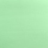 Parakeet Green Bow Tie OR Anna Bow